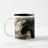 黒い雄牛の絵画、c.17000を紀元前に揺すって下さい(洞窟pa ツートーンマグカップ (左)