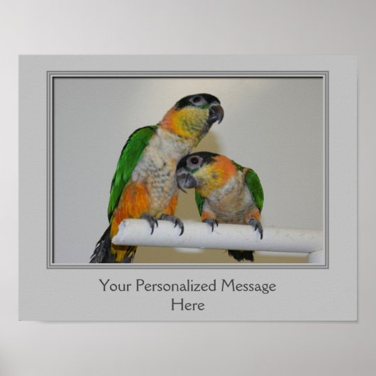 黒い頭のカイケパロツパーソナライズされた ポスター (正面)