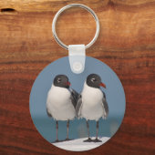 黒い頭のカモメ キーホルダー (裏面)