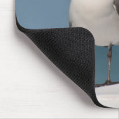 黒い頭のカモメ マウスパッド (コーナー)