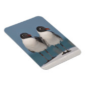 黒い頭のカモメ マグネット (右側)