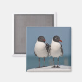 黒い頭のカモメ マグネット (正面/裏面)