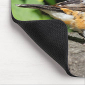 黒い頭のグロスベイクソングバードのクローズアップ マウスパッド (コーナー)