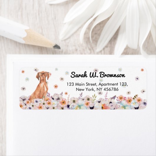 黒い額縁の眼鏡を持つヴィツラハンガリー犬 ラベル (インサイチュ)