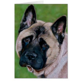 黒い顔の秋田犬ことわざごめんなさい (正面)