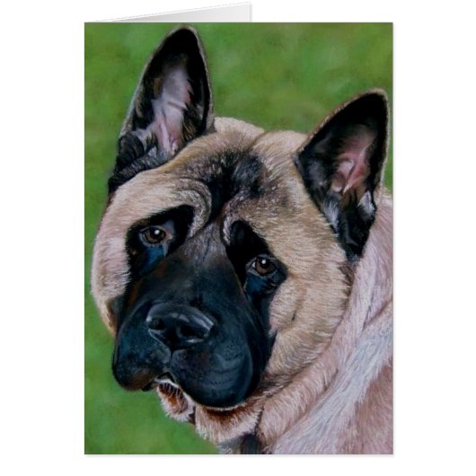 黒い顔の秋田犬ことわざごめんなさい (正面)