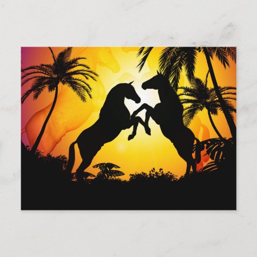 黒い馬 ポストカード (正面)