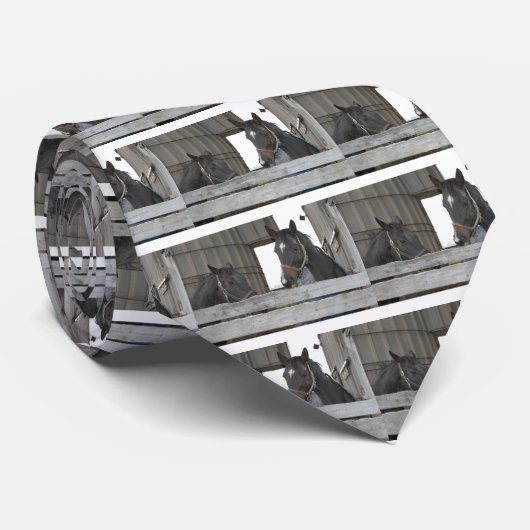 黒い馬/牧場 ネクタイ (ロール)