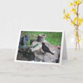 黒い鳥の岩場 カード (黄色い花)