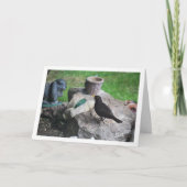 黒い鳥の岩場 カード (正面)