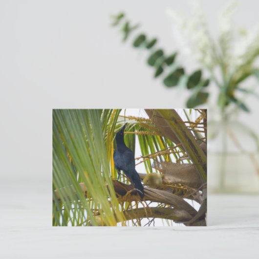 黒い鳥 ポストカード (スタンド正面)