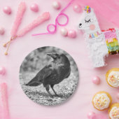 黒い鳥、石のカラス、 ペーパープレート (パーティー)