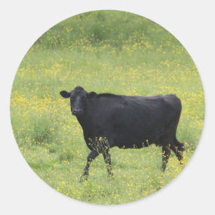 黒いCow_0075 ラウンドシール