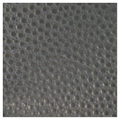 黒いEmuの皮のような革 ファブリック (クローズアップ)