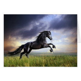 黒いFriesianの馬