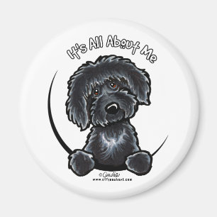 黒いLabradodle IAAM マグネット