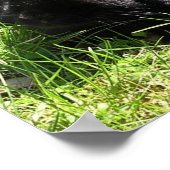 黒うさぎ ポスター (角)