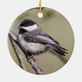 黒おおわれた《鳥》アメリカゴガラ セラミックオーナメント (裏面)