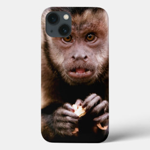 黒おおわれたcapuchin猿のクローズアップ iPhone 13ケース
