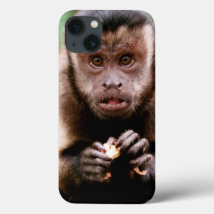 黒おおわれたcapuchin猿のクローズアップ iPhone 13ケース