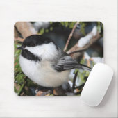 黒おおわれたCickadee マウスパッド (マウス)