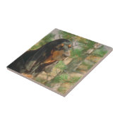 黒およびタンのCoonhoundのタイル タイル (側面)