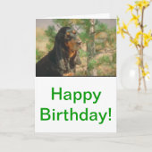 黒およびタンのCoonhound カード (黄色い花)