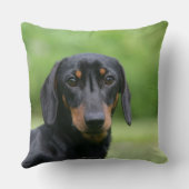 黒およびタンMinitureのダックスフント1 クッション (裏面)