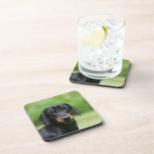 黒およびタンMinitureのダックスフント1 コースター (右側)