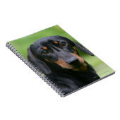 黒およびタンMinitureのダックスフント1 ノートブック (右側)