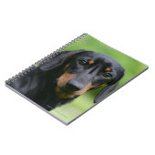 黒およびタンMinitureのダックスフント1 ノートブック (左側)