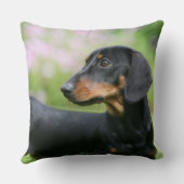 黒およびタンMinitureのダックスフント2 クッション (裏面)