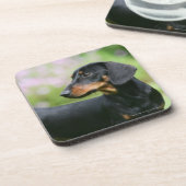 黒およびタンMinitureのダックスフント2 コースター (左側)