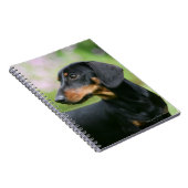 黒およびタンMinitureのダックスフント2 ノートブック (右側)