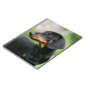 黒およびタンMinitureのダックスフント2 ノートブック (左側)