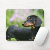 黒およびタンMinitureのダックスフント2 マウスパッド (マウス)