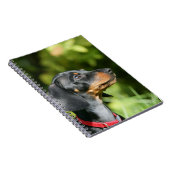 黒およびタンMinitureのダックスフント3 ノートブック (右側)