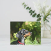 黒およびタンMinitureのダックスフント3 ポストカード (スタンド正面)