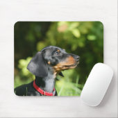 黒およびタンMinitureのダックスフント3 マウスパッド (マウス)