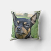 黒およびブラウンのチワワの枕 クッション (裏面)