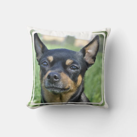 黒およびブラウンのチワワの枕 クッション (正面)