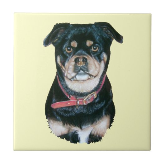 黒および黄褐色のパグ犬のポートレートの写真 タイル (正面)