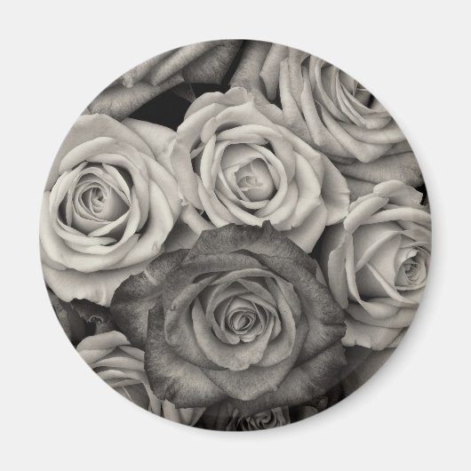 黒かわいらしと白のバラ花束 マグネット (正面)