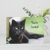黒かわいらし猫フォト誕生日 招待状 (スタンド正面)