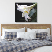 黒かわいらし色の純粋な白のイースターユリの花 キャンバスプリント (インサイチュ (寝室))