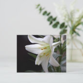 黒かわいらし色の純粋な白のイースターユリの花 シーズンポストカード (スタンド正面)