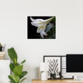 黒かわいらし色の純粋な白のイースターユリの花 ポスター (ホームオフィス)