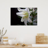 黒かわいらし色の純粋な白のイースターユリの花 ポスター (キッチン)