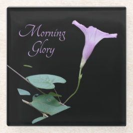 黒かわいらし色の紫の朝顔 ガラスコースター