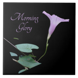 黒かわいらし色の紫の朝顔 タイル